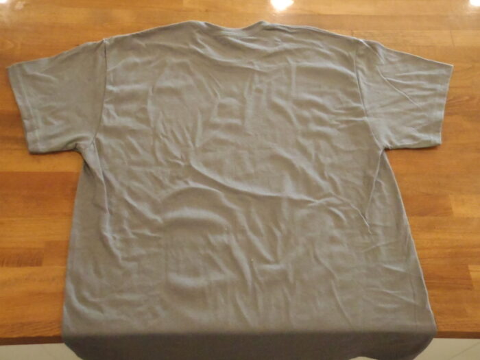 WCCS T-shirt - Image 4