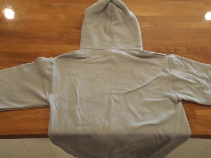 WCCS Hoodie - Image 4